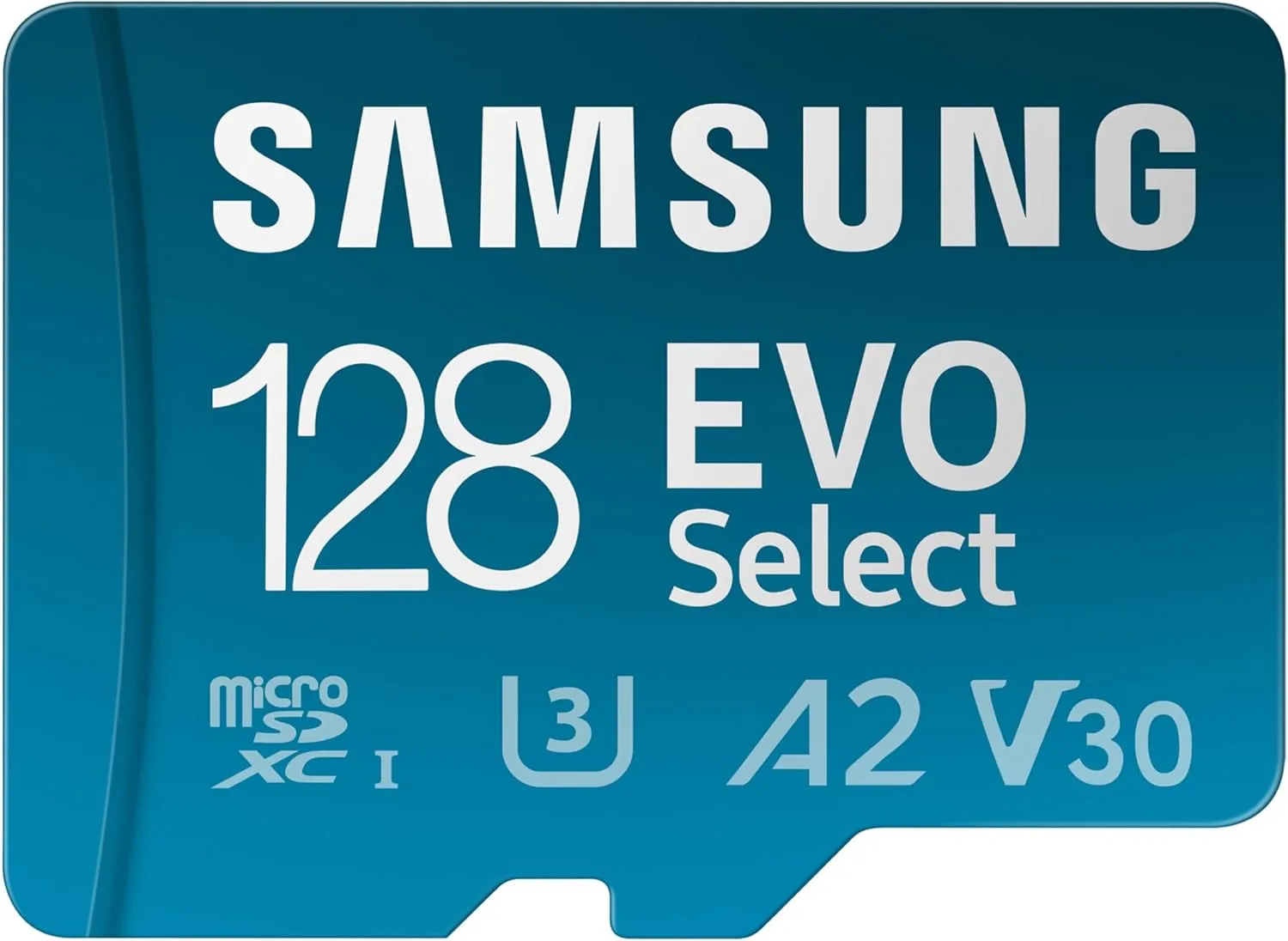 MicroSD Card (32–128GB, Class 10+)