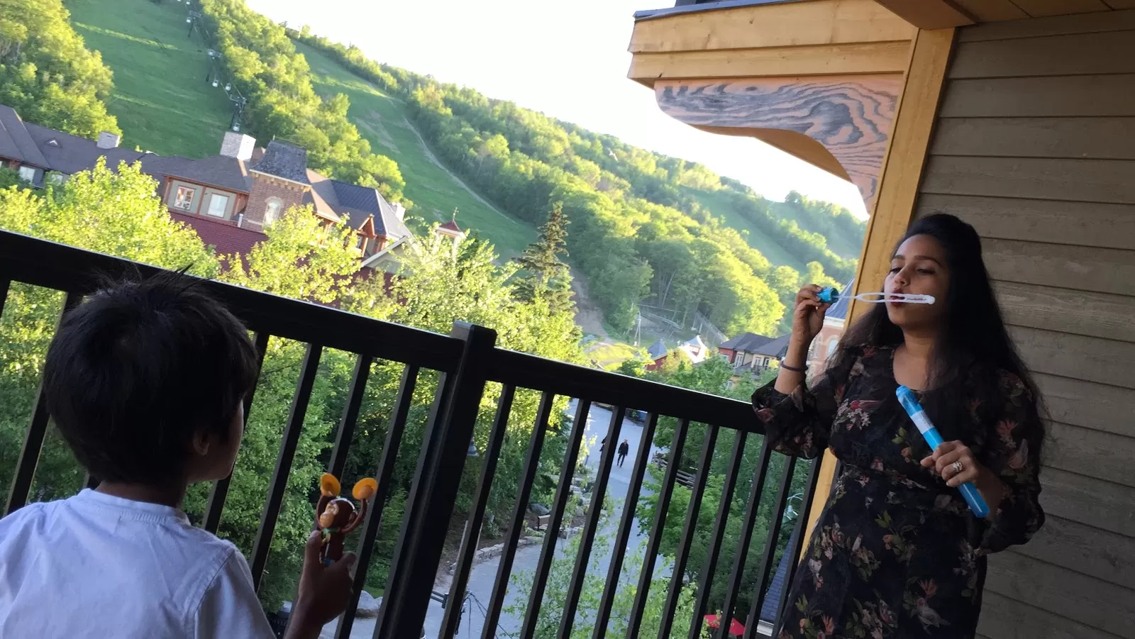 Right time to visit to The Blue Mountains, Ontario? 2 beautiful-view-of-the-village