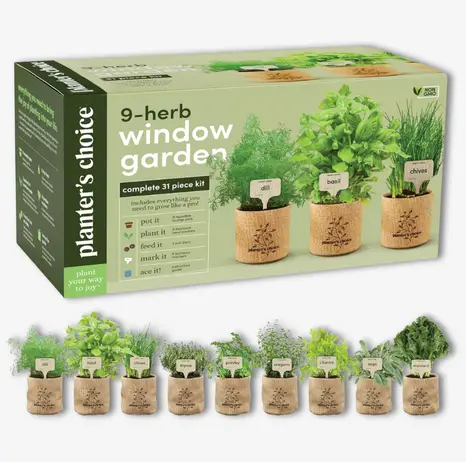 Mini Indoor Herb Garden Kit Mini Indoor Herb Garden Kit
